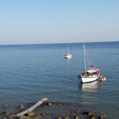Delfinia_Boat_Tours_Milos_008