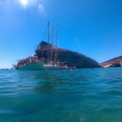 Delfinia_Boat_Tours_Milos_011