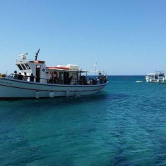 Delfinia_Boat_Tours_Milos_012