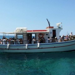 Delfinia_Boat_Tours_Milos_016