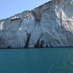 Delfinia_Boat_Tours_Milos_019