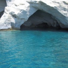 Delfinia_Boat_Tours_Milos_021