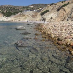 Delfinia_Boat_Tours_Milos_026