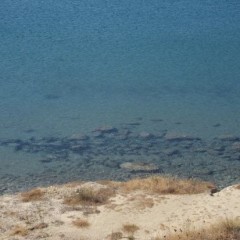 Delfinia_Boat_Tours_Milos_027