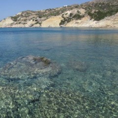 Delfinia_Boat_Tours_Milos_028