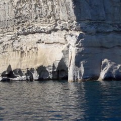 Delfinia_Boat_Tours_Milos_029