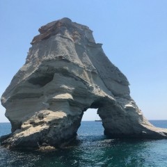 Delfinia_Boat_Tours_Milos_033