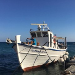 Delfinia_Boat_Tours_Milos_034