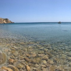 Delfinia_Boat_Tours_Milos_038