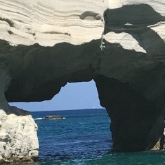 Delfinia_Boat_Tours_Milos_052